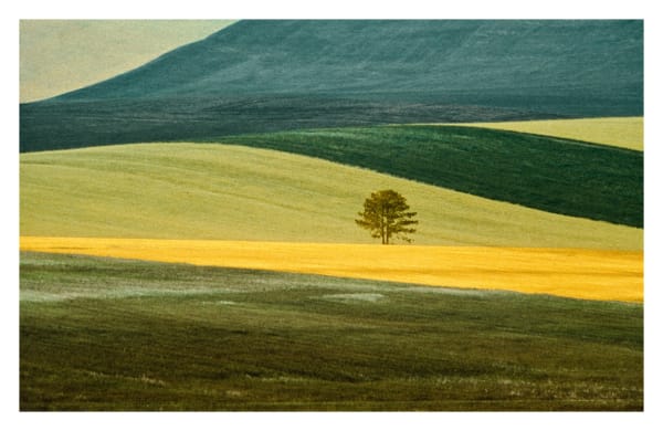 Franco Fontana, Basilicata, 1978