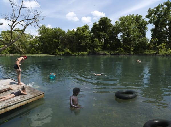 Julie Blackmon, Lindenlure, 2020