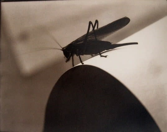 Edward Steichen, Diagram of Doom, c. 1926