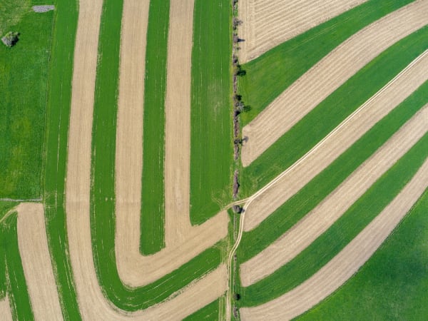 Jeffrey Milstein, Hudson Valley Farms 01, 2019