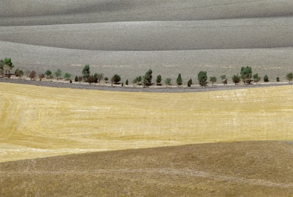 Franco Fontana, Italy, 1978