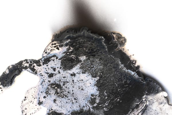 Olivia Parker, Ink 74, 2020