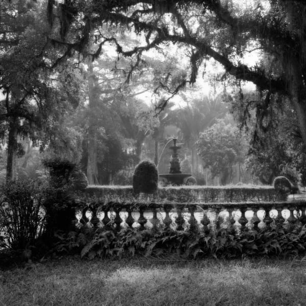 Sally Gall, Rio, Botanical Garden #3, 1986