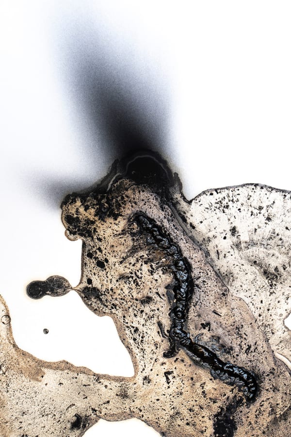 Olivia Parker, Ink 36, 2020