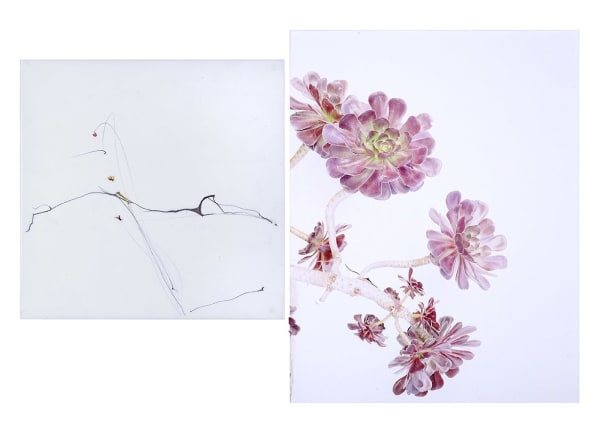 Sandi Haber Fifield, Untitled (LF16 #116), 2016