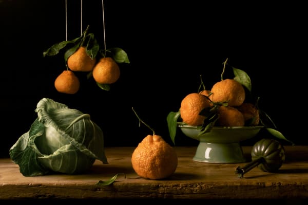 Paulette Tavormina, Oranges, After F.D.Z., 2008