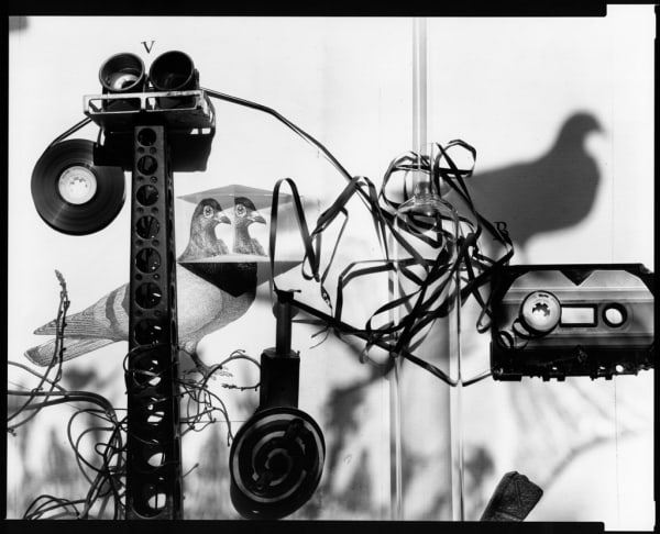 Olivia Parker, Feral Tape, 1984