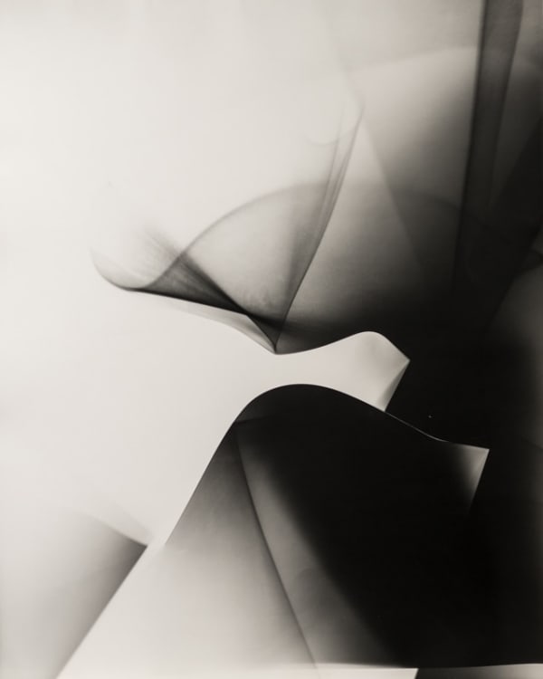 György Kepes, Untitled photogram, 1981