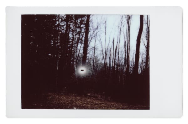 Gohar Dashti, Alien #10, 2017