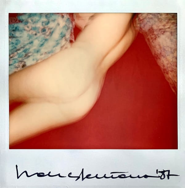 Franco Fontana, Polaroid, 1987, 1987