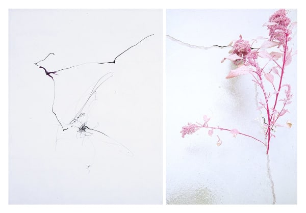 Sandi Haber Fifield, Untitled (LF16 #130), 2016