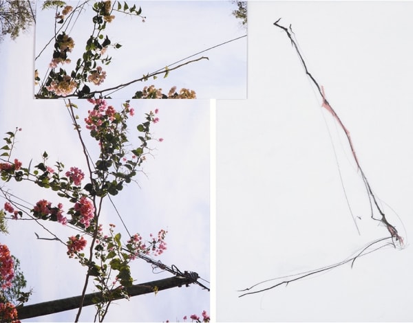 Sandi Haber Fifield, Untitled (LF16 #101), 2016