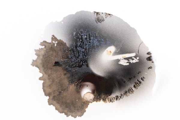 Olivia Parker, Ink 152, 2022