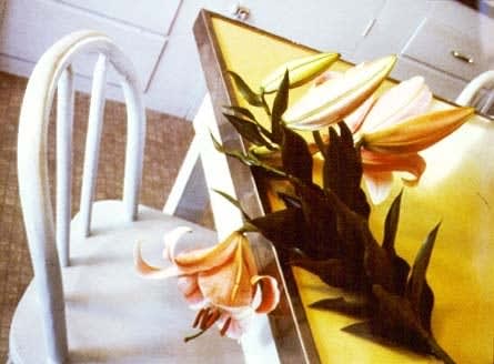 Olivia Parker, Stargazers - Nantucket, 1992