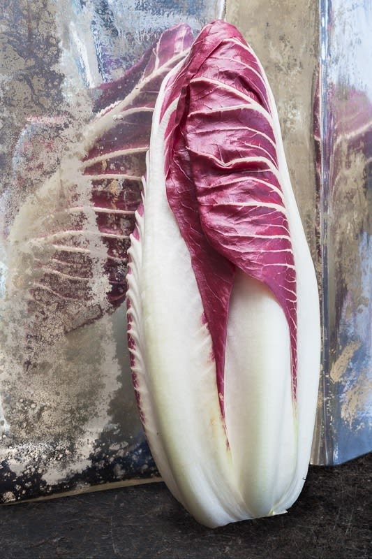 Olivia Parker, Over Other, 2014