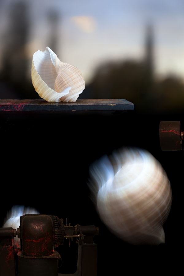 Olivia Parker, Landscape with 3 Shells, 2010