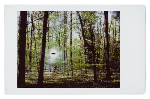 Gohar Dashti, Alien #15, 2017