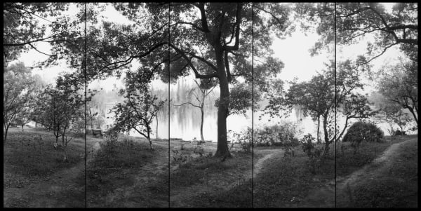 Lois Conner - West Lake (Xi Hu), Hangzhou, China (5-panel), 1994