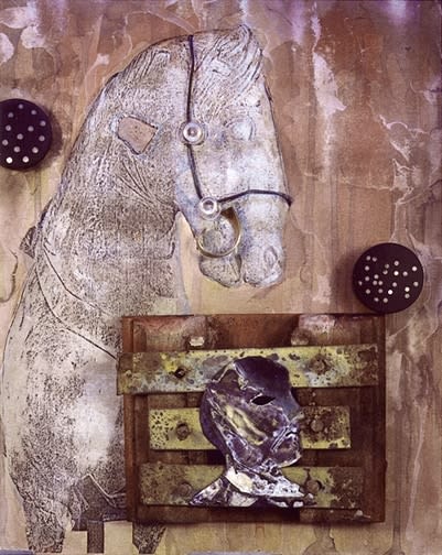 Olivia Parker, Star Catchers, 1988