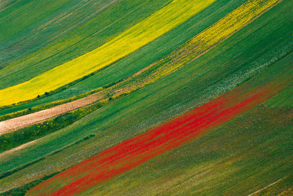 Franco Fontana, Parco dei Sibillini, 1999