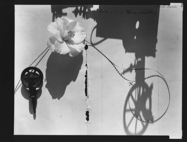 Olivia Parker, Cinemechanics (8402) from the series Signs of Life, 1984