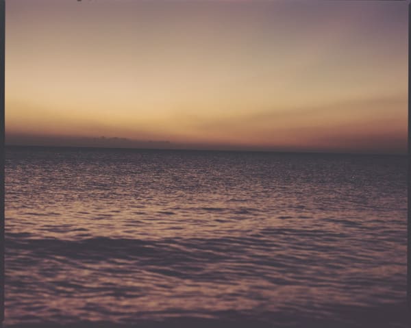 Roisin Jones, Untitled, 2024