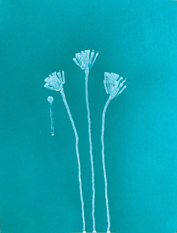 Mireille Gros, Planetary Plant (Diversity) X, 2023