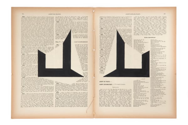 Marinda Vandenheede, Pars Pro Toto - Diplomatic III, 2021