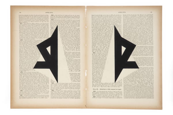 Marinda Vandenheede, Pars Pro Toto - Civil Appeal X, 2021