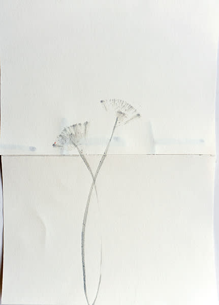 Mireille Gros, Fictional Plants 38, 2019