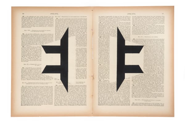 Marinda Vandenheede, Pars Pro Toto - Civil Appeal IX, 2021