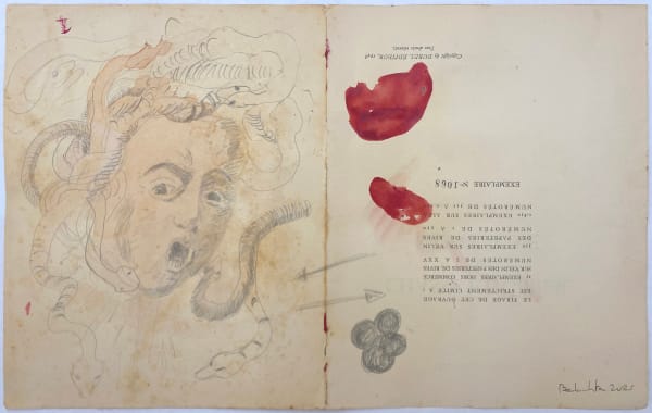 Amina Benbouchta, Medusa’s Wrath, 2025