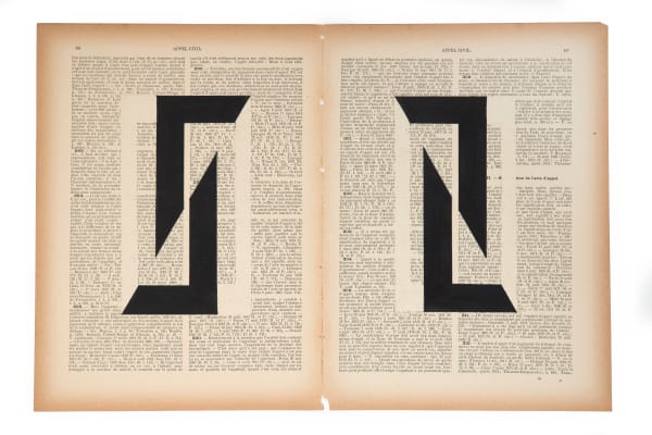 Marinda Vandenheede, Pars Pro Toto - Civil Appeal I, 2021