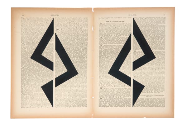 Marinda Vandenheede, Pars Pro Toto - Civil Appeal VI, 2021