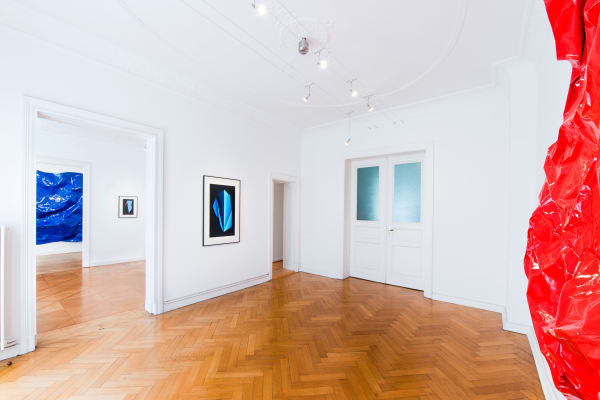 Tashi Brauen, Bending Forms, 2017