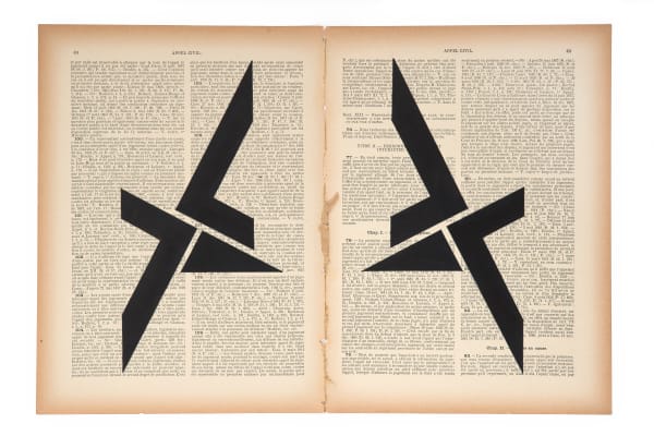 Marinda Vandenheede, Pars Pro Toto - Civil Appeal V, 2021