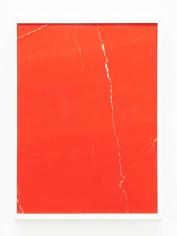Tashi Brauen, Rissprotokoll 4, 2019