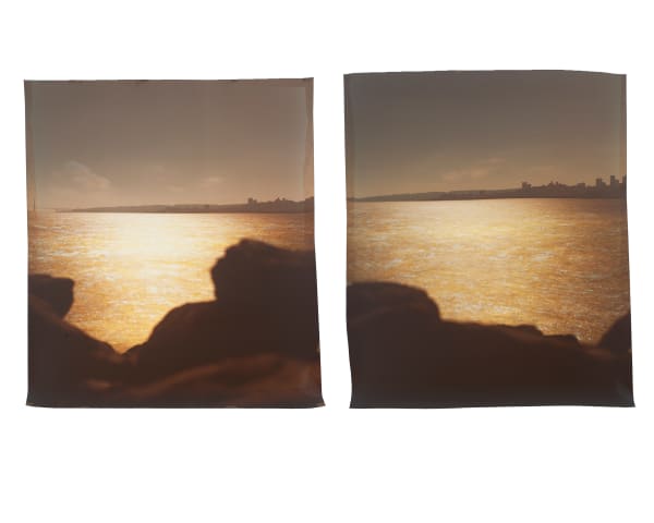 John Chiara, Avenue of the Palms at 6th Street, Treasure Island, 2022