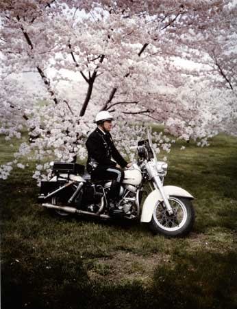 Evelyn Hofer, Springtime, Washington, 1965