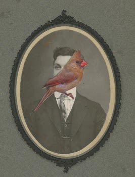 James Gallagher, Untitled, 2015