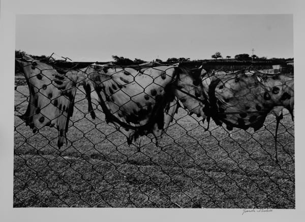 Graciela Iturbide, La Mixteca, Oaxaca, 1992