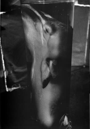 Asako Narahashi, Untitled, from NU-E, 1994