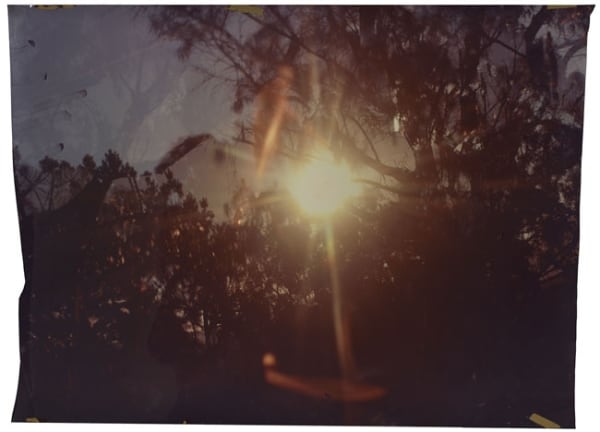 John Chiara, Mulholland: Strauss: Troutdale, 2012