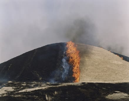 Rinko Kawauchi, Untitled, from the series Ametsuchi, 2012