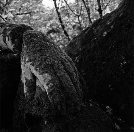 Graciela Iturbide, Bomarzo, Italia, from the series asor [moss hand]