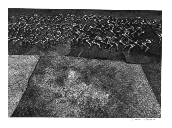Graciela Iturbide, Caderas, La Mixteca, Oaxaca, 1992