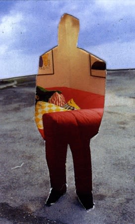 Melinda Gibson, Photomontage XXXI, (taken from pages 29, 72, 88), 2009-2011