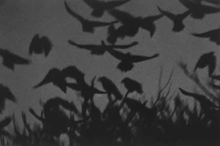 Masahisa Fukase, Kawazawa, 1978