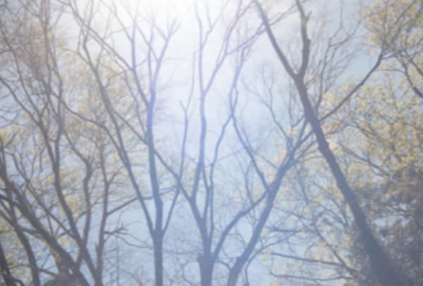 Rinko Kawauchi, Untitled, from the Series "Under the Same Sky", 2021