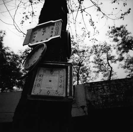 Graciela Iturbide, Untitled, from the series asor [clocks on tree]
